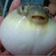 那天之后我就没有看过大哥了