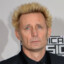 Mike Dirnt