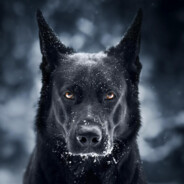 Black-Dog