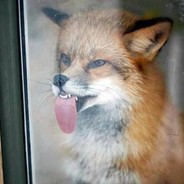 人不色且能成仙？