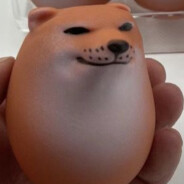 兆小泽缓慢爬行