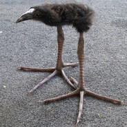 DerJürgenwürgendeJodelJürgen