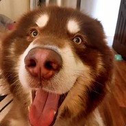 梦想吃鸡的小仙女