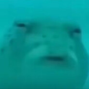 今夜年愁未到乡