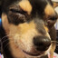 Feelingz
