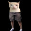 WaxiPioli