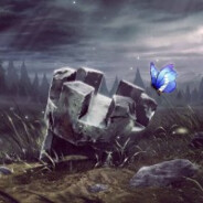 执掌好运的黄黑王#88129