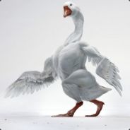 Inflated Goose