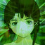 Lain