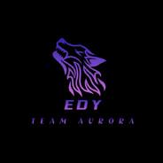 AUR-Edy - steam id 76561199378552796