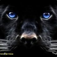 TYCOON head-masters.pl