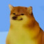 piwerix