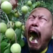 宝宝巴士 继国缘6