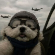 阿米娅陛下最忠诚的抵