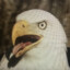 someguyordude