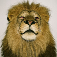 𝐁𝐥𝐢𝐳𝐳𝐚𝐫𝐝