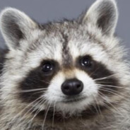 짱깨해킹싫어요