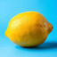 Sea Lemon