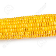 Corn avatar