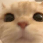 'JigsawPEEKWX