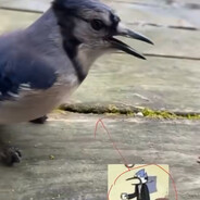 PL
