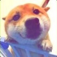 你是个什么牛马啊