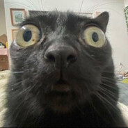 GeorgeDroid