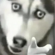 好好独素好好减肥