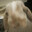 1099enjoyer