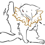 真英雄以眼喵喵