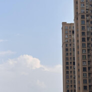 去码头整点薯条