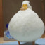 Sir Duck Sphere