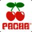 Pacha