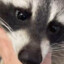 BANAN
