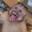GodDavid