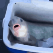 Intercourse: Revenge of the Piss