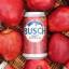 Busch Light Apple