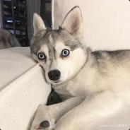 闭嘴，看我表演丶