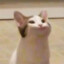 Аsel