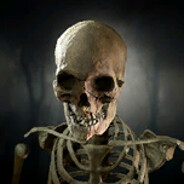 skeleton