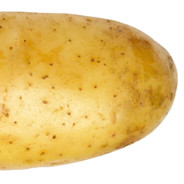 Potato