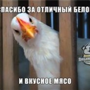 Misha продакшен