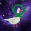 Space_goose