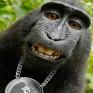 бабиджончик