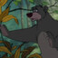 Baloo