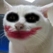 {Syn}Zapper - steam id 76561197964384500
