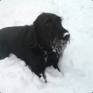 LOTR | .Winters. - steam id 76561197961442367