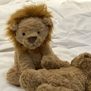 别骂我我是真的菜