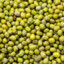 Mung beans