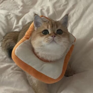 灯泡界第一汤圆